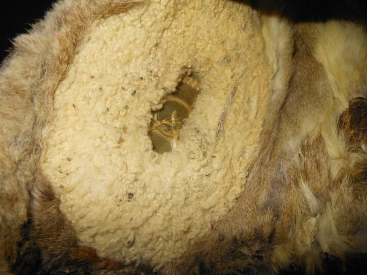 WW2 German Luftwaffe LKpW101 Fliegerkopfhaube – WINTER FUR FLIGHT HELMET – RARE! — image 16