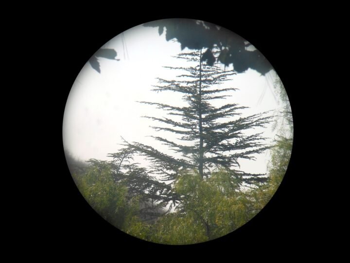 WW2 Imperial Japanese Navy – 7×50 FIELD BINOCULARS + CASE & SUN FILTERS – NICE! — image 24