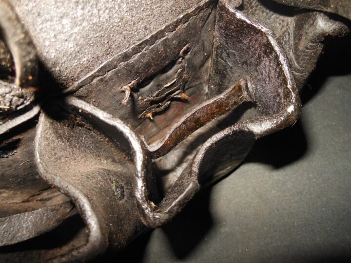 WW1 Imperial Prussian Army – GEW98 LEATHER AMMUNITION POUCH – UNIT MARKED – NICE — image 10