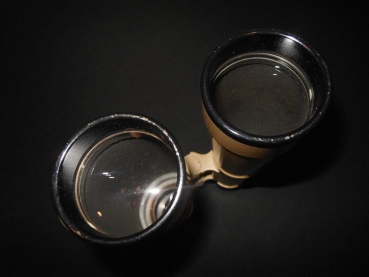 WW2 German Wehrmancht Hensoldt – 10×50 PANZER ROOF PRISM BINOCULARS – PERFECT! — image 12