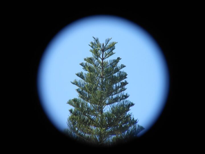 WW2 German Wehrmancht Hensoldt – 10×50 PANZER ROOF PRISM BINOCULARS – PERFECT! — image 13