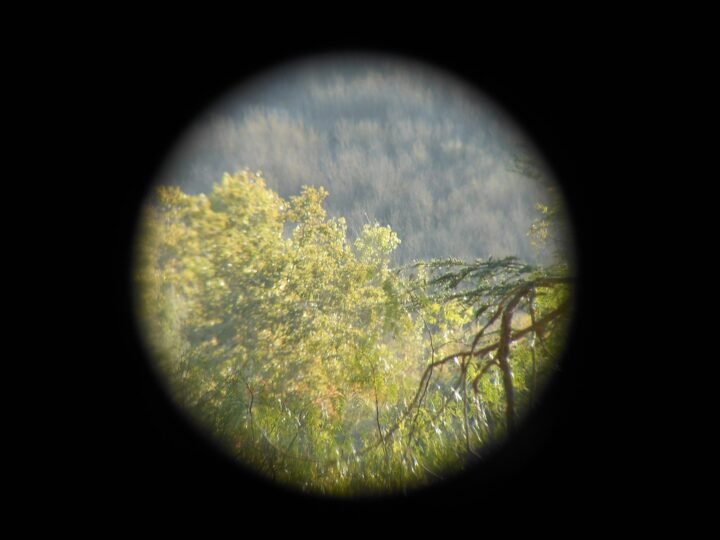 WW2 German Wehrmancht Hensoldt – 10×50 PANZER ROOF PRISM BINOCULARS – PERFECT! — image 14