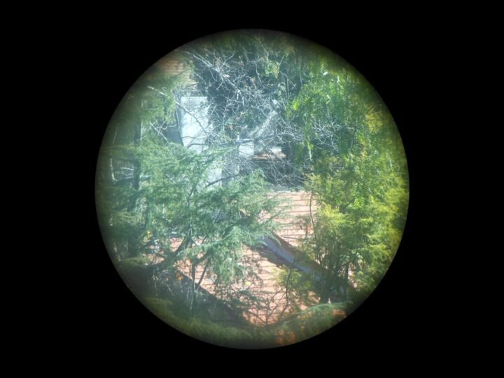 WW2 German Kriegsmarine – 7×50 LEITZ U-BOAT U-BOOT COMMANDER BINOCULARS – NICE! — image 13