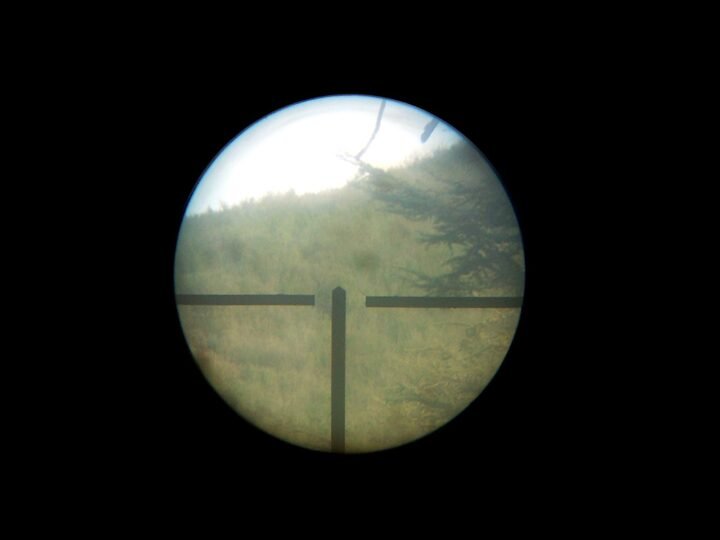 WW2 German Wehrmacht – ZF4 SNIPER OPTICAL SCOPE – K43 / G43 – NICE! — image 9