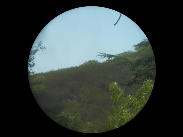 WW2 German Kriegsmarine – 7×50 CARL ZEISS GAS MASK BINOCULARS – RARE VARIANT! — image 10