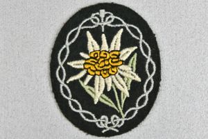 Gebirgsjäger Edelweiss sleeve badge