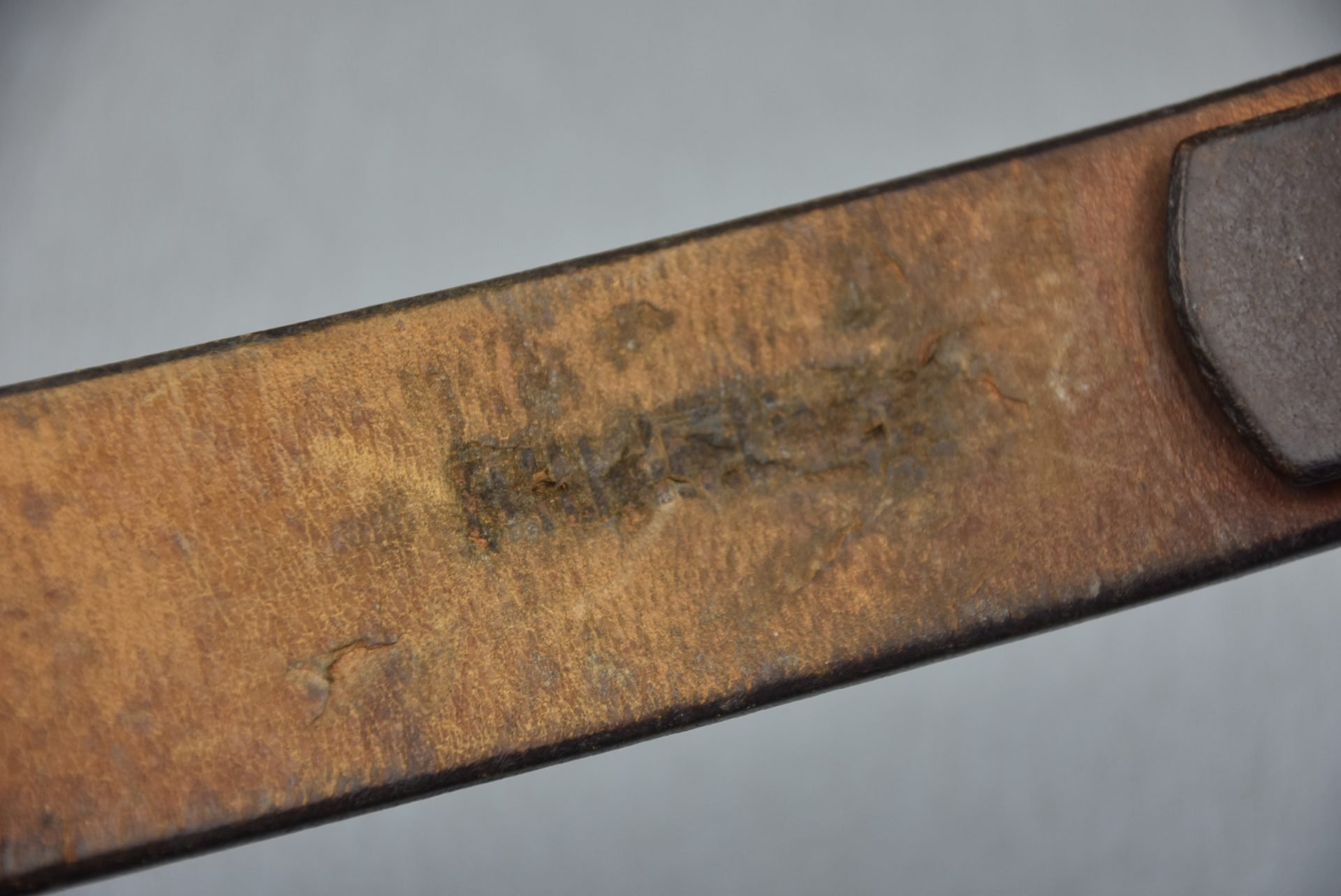 Early choclate brown Luftwaffe equipment belt — image 6