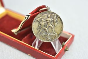 Austrian occupation medal 13 März 1938 with case