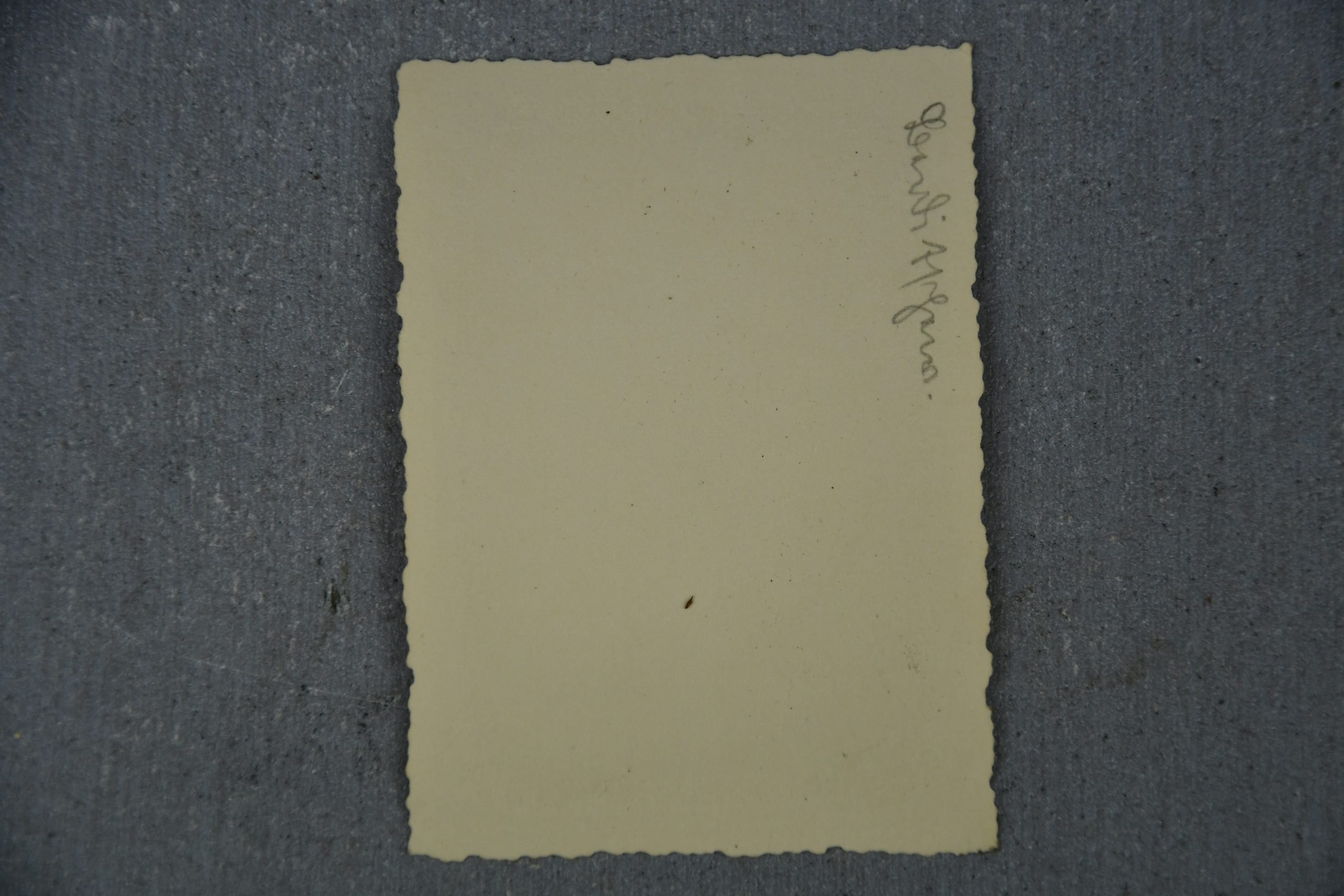 Original war time private photo of Adolf Hitler and Feldmarschall von Rundstedt 8×5 — image 2