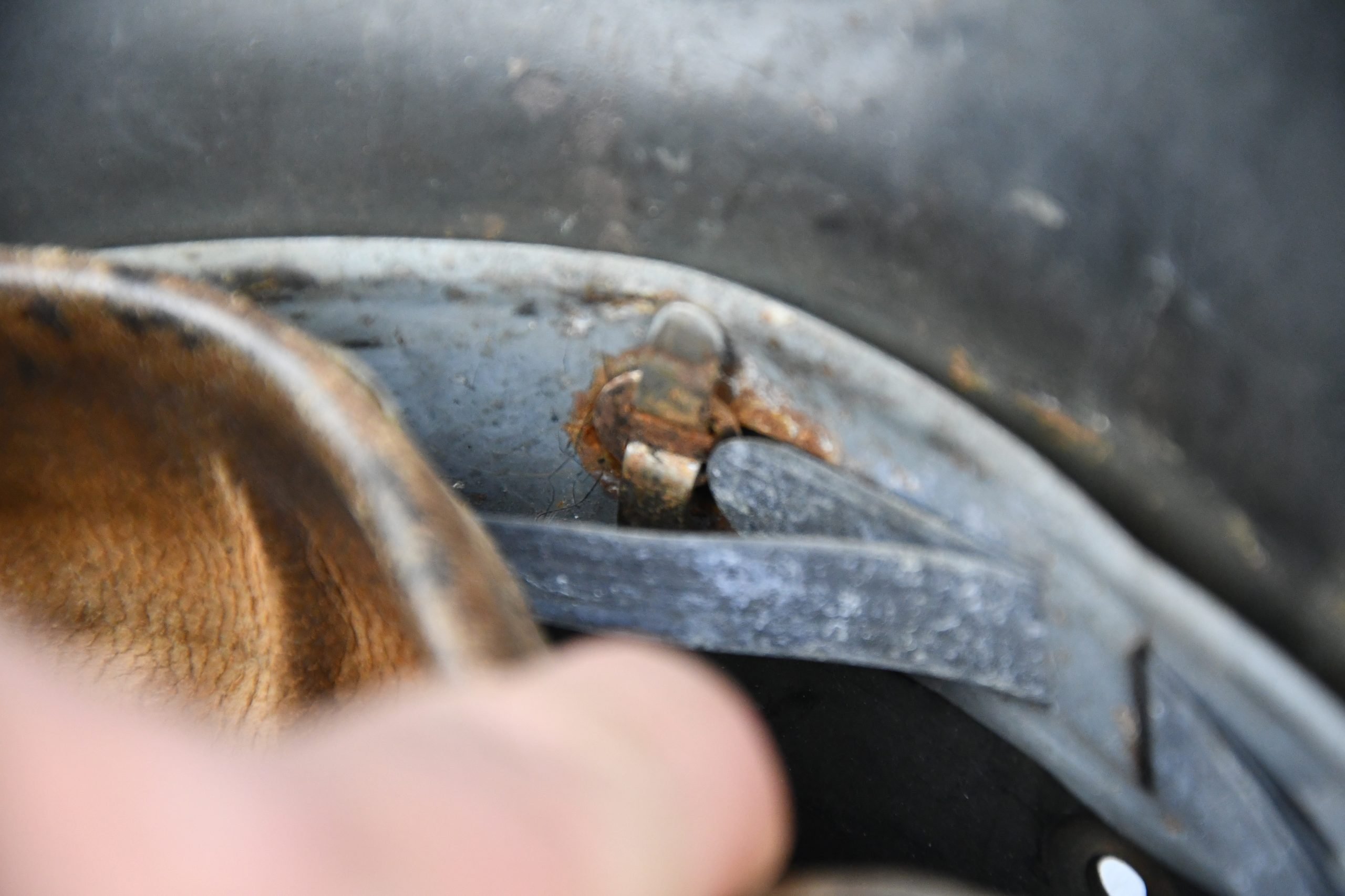 M40 army (Heer) single decal steel helmet Q62 — image 13