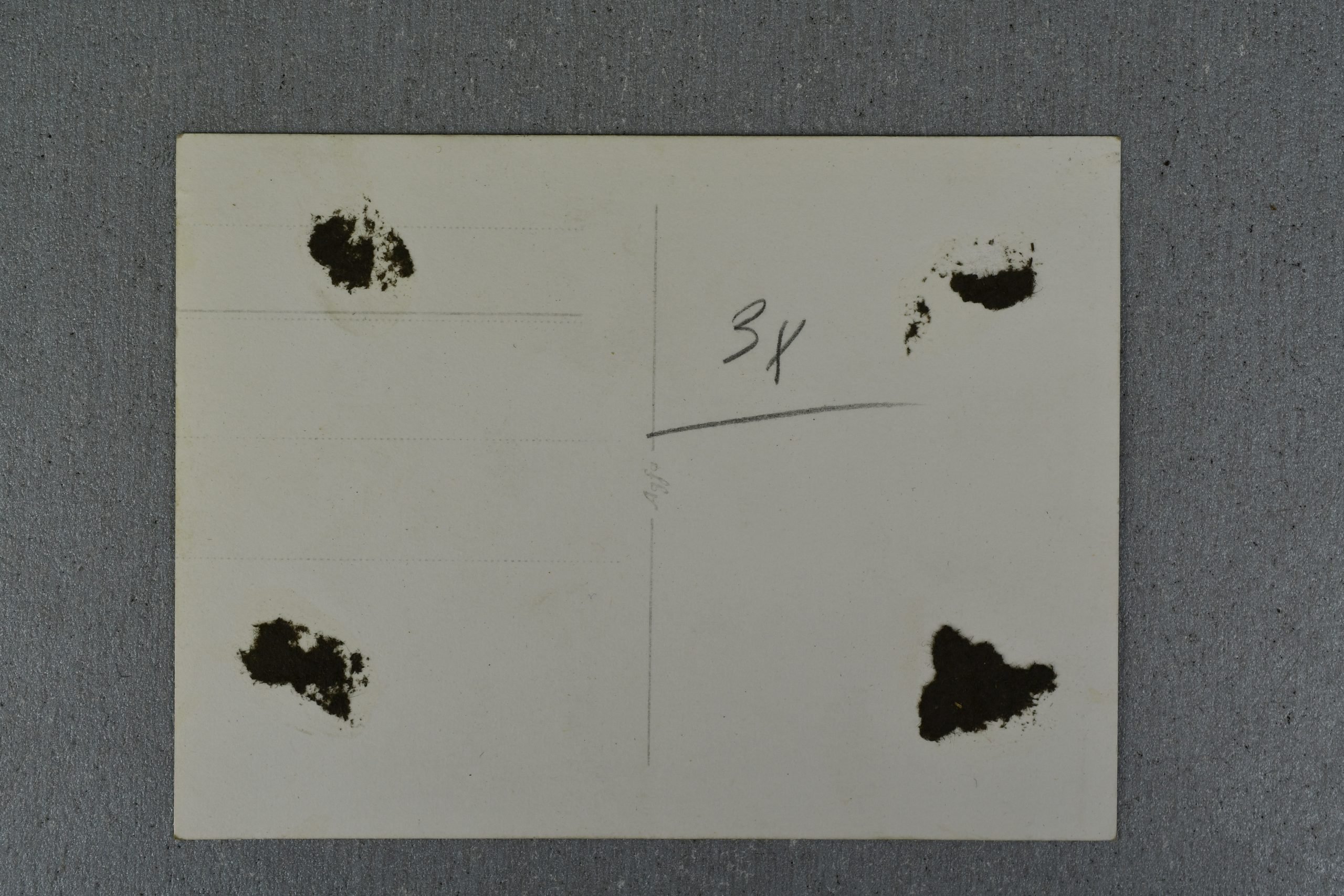 Original army (Heer) photograph south front with Italian camouflage trousers, Krim shield — image 2