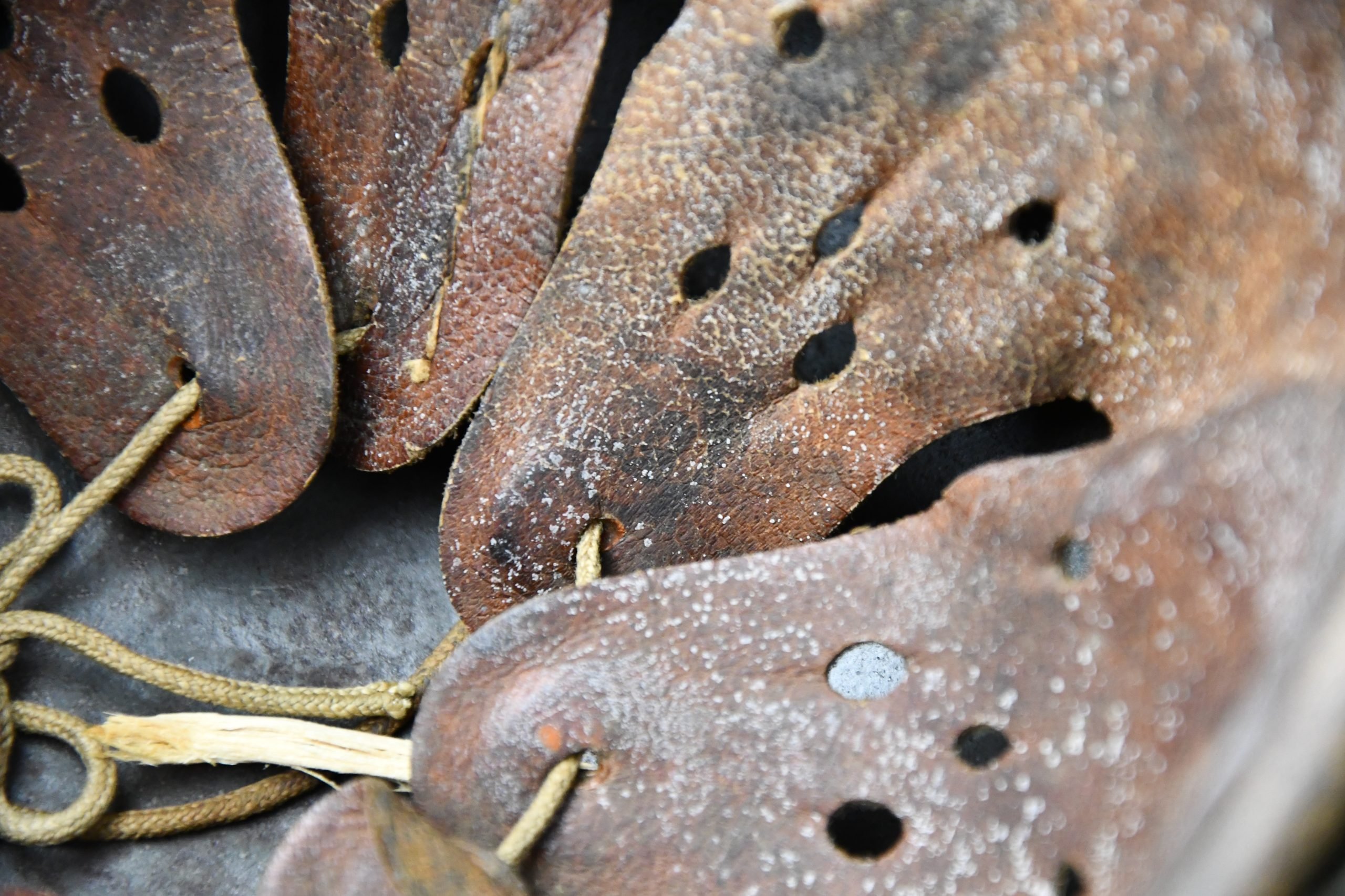 M40 Luftwaffe white winter camouflage helmet ET64 — image 27