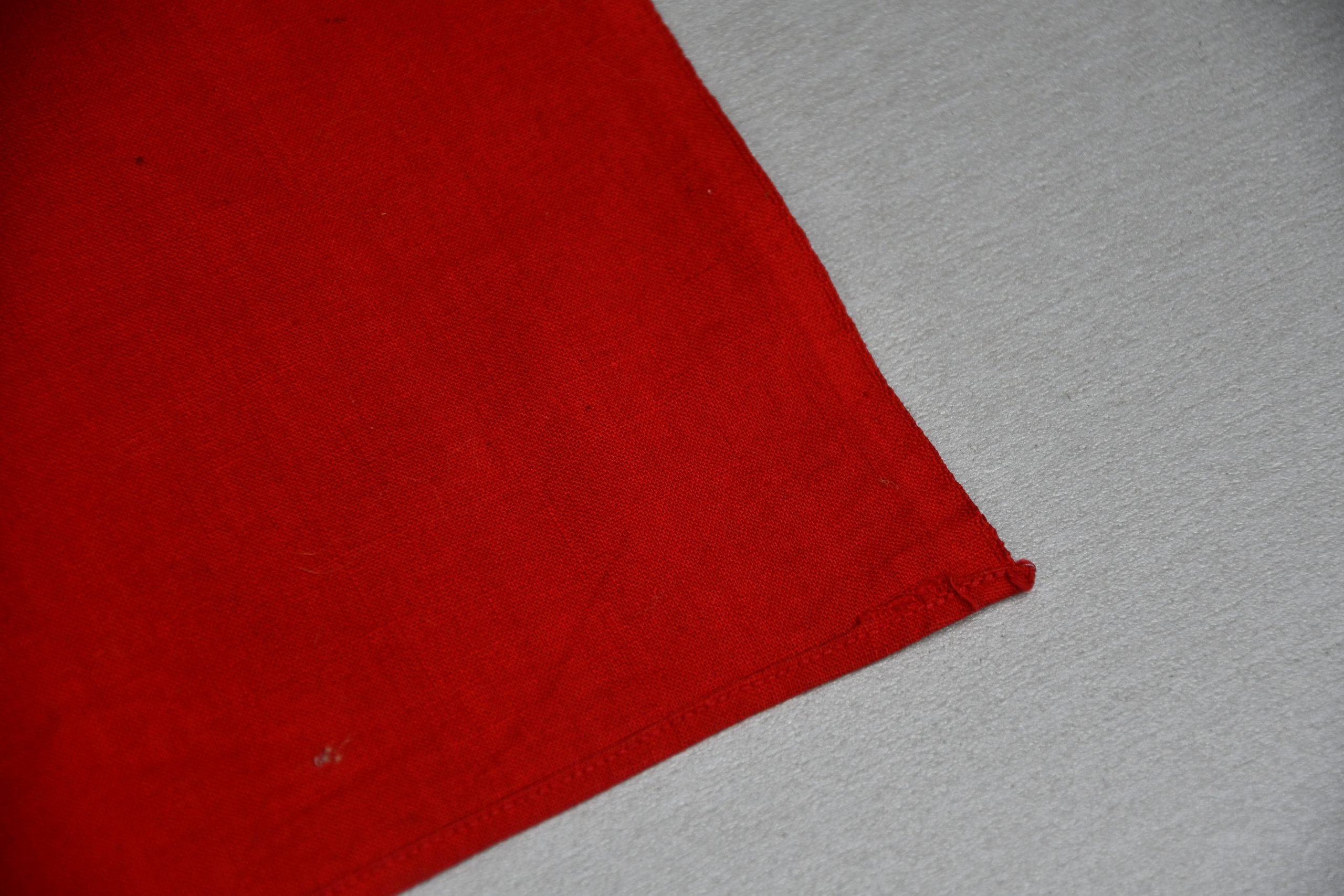 NSDAP double sided party flag 45 x 70 — image 6