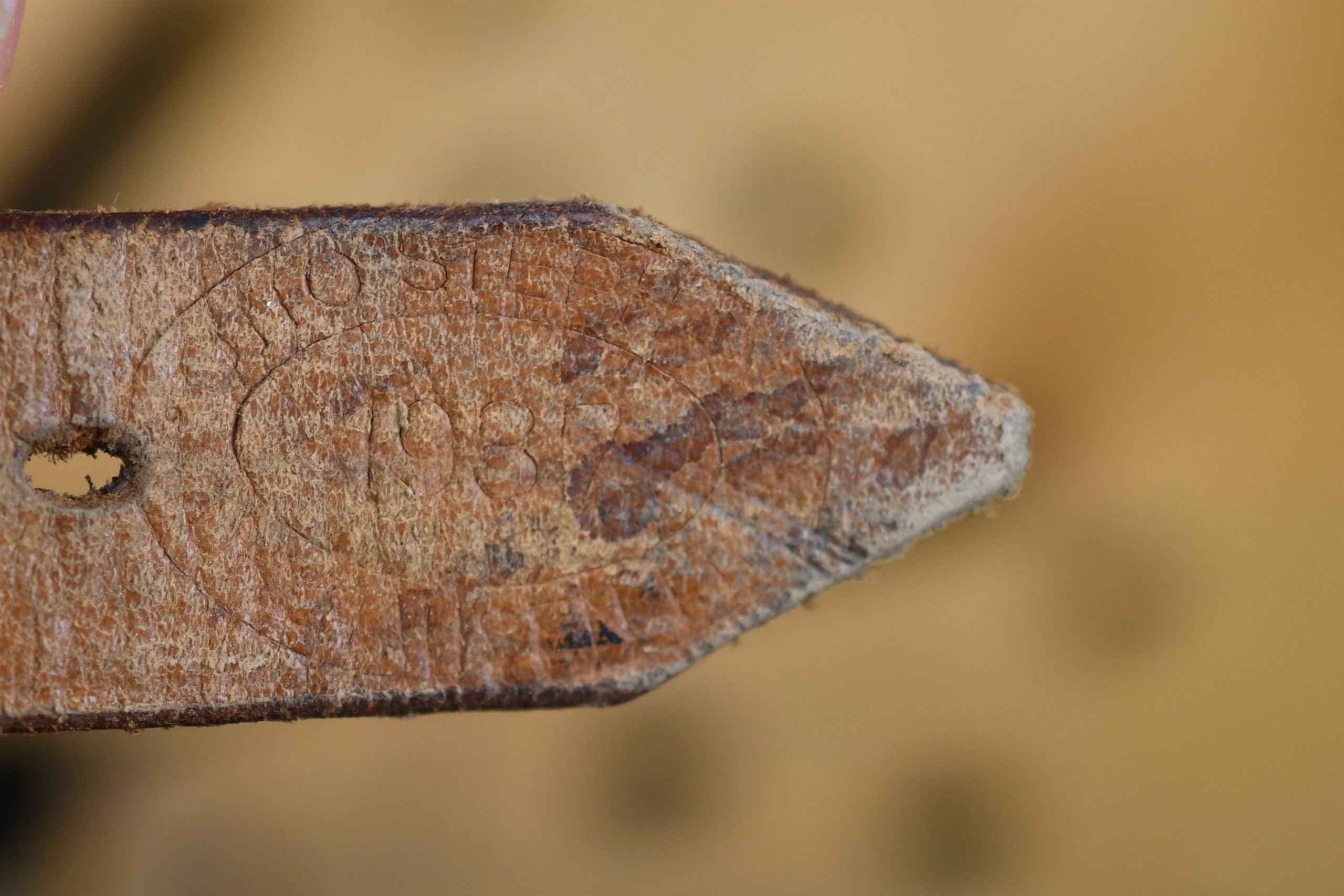 M17 army (Heer) transitional double decal steel helmet — image 13