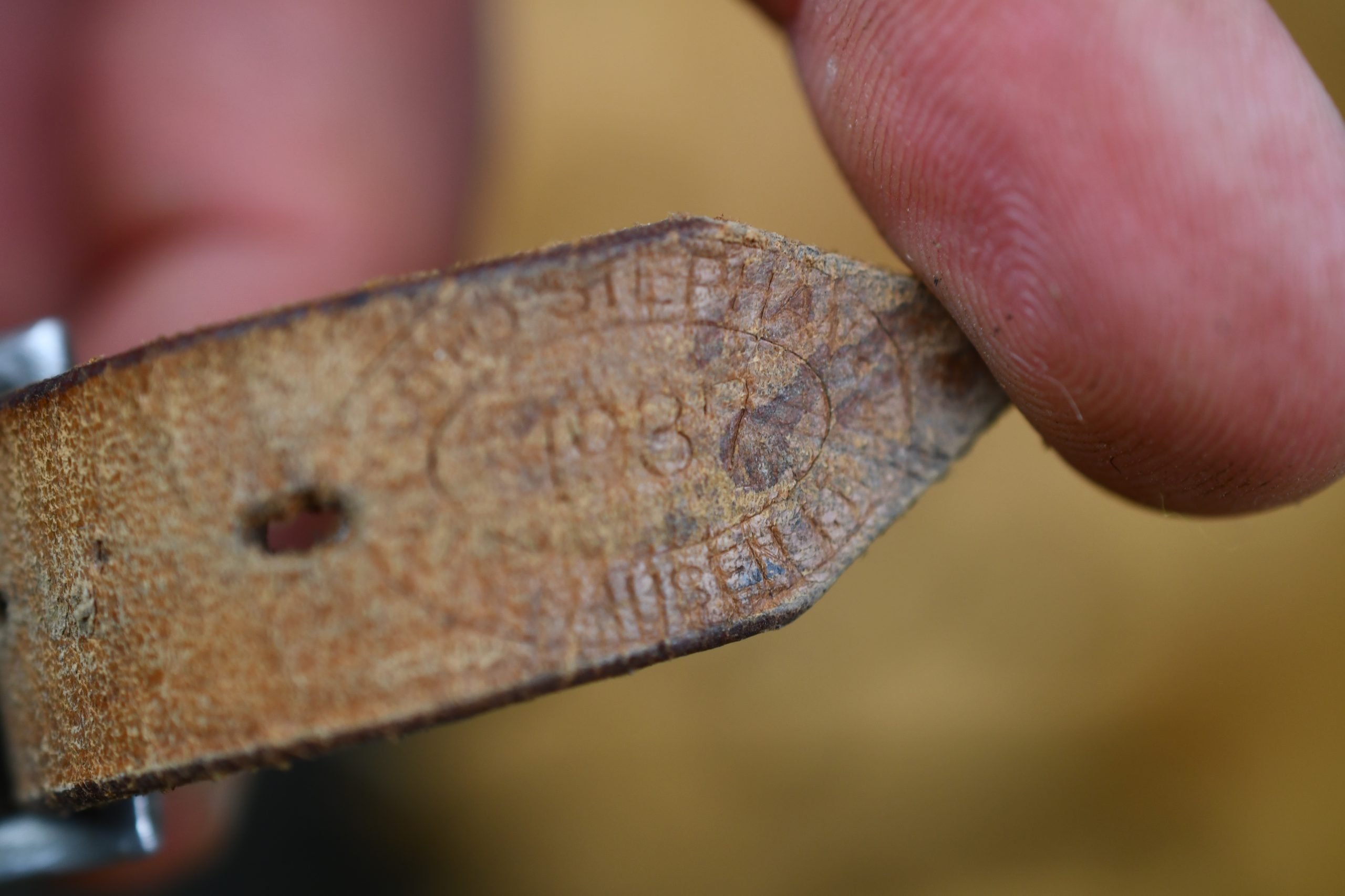 M17 army (Heer) transitional double decal steel helmet — image 14