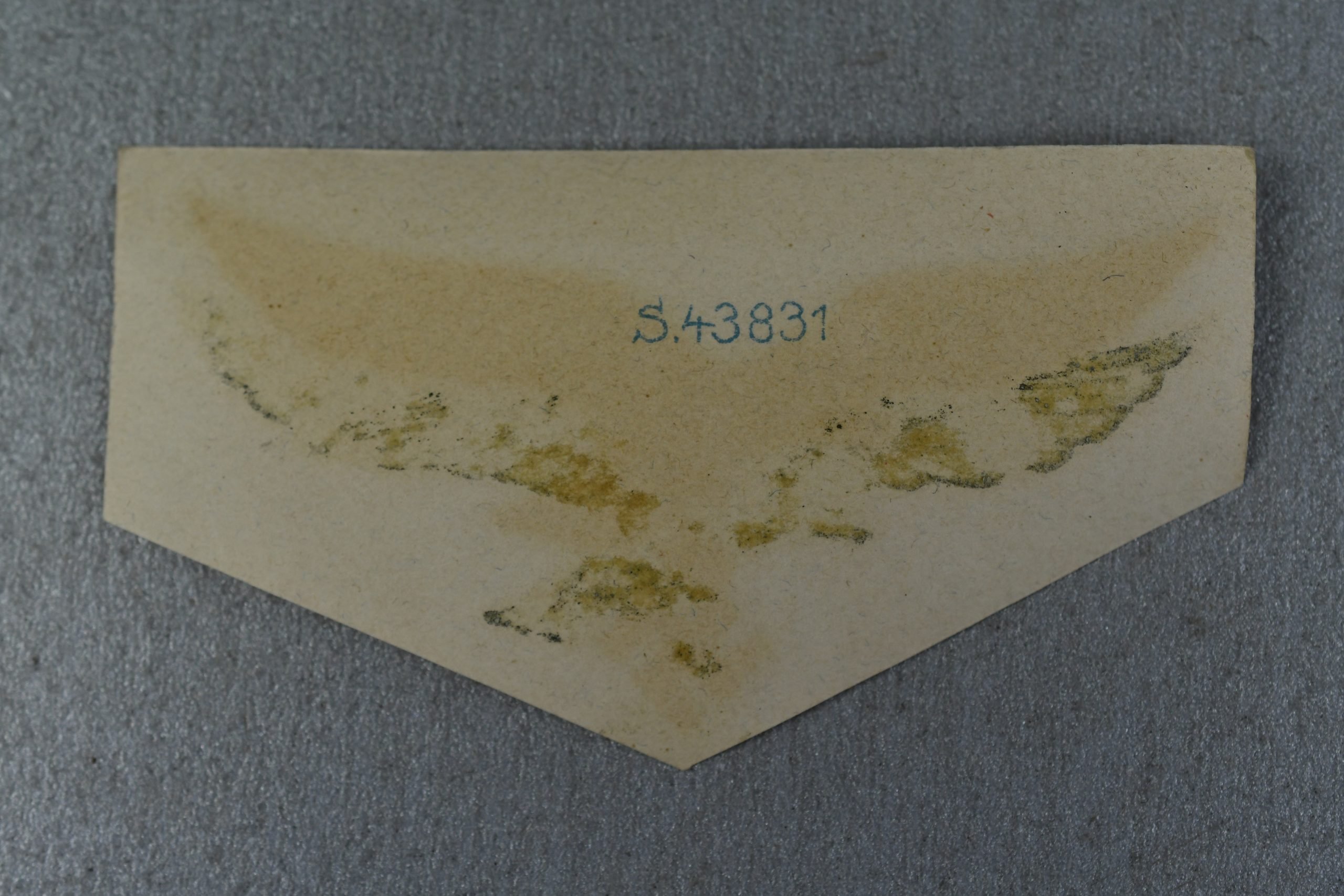 RARE Late-war unapplied 'green' Luftwaffe helmet decal — image 2