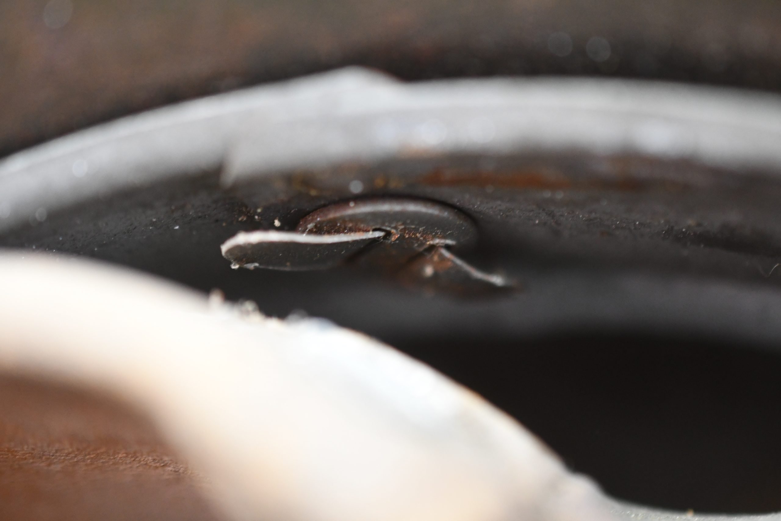 M42 army (Heer) single decal steel helmet hkp62 — image 17