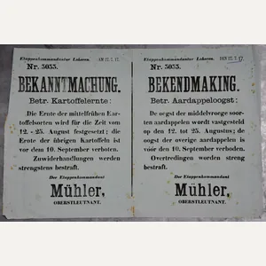 Original WWI German Occupation Poster 'Bekanntmachung / Bekendmaking – Kartoffelernte …