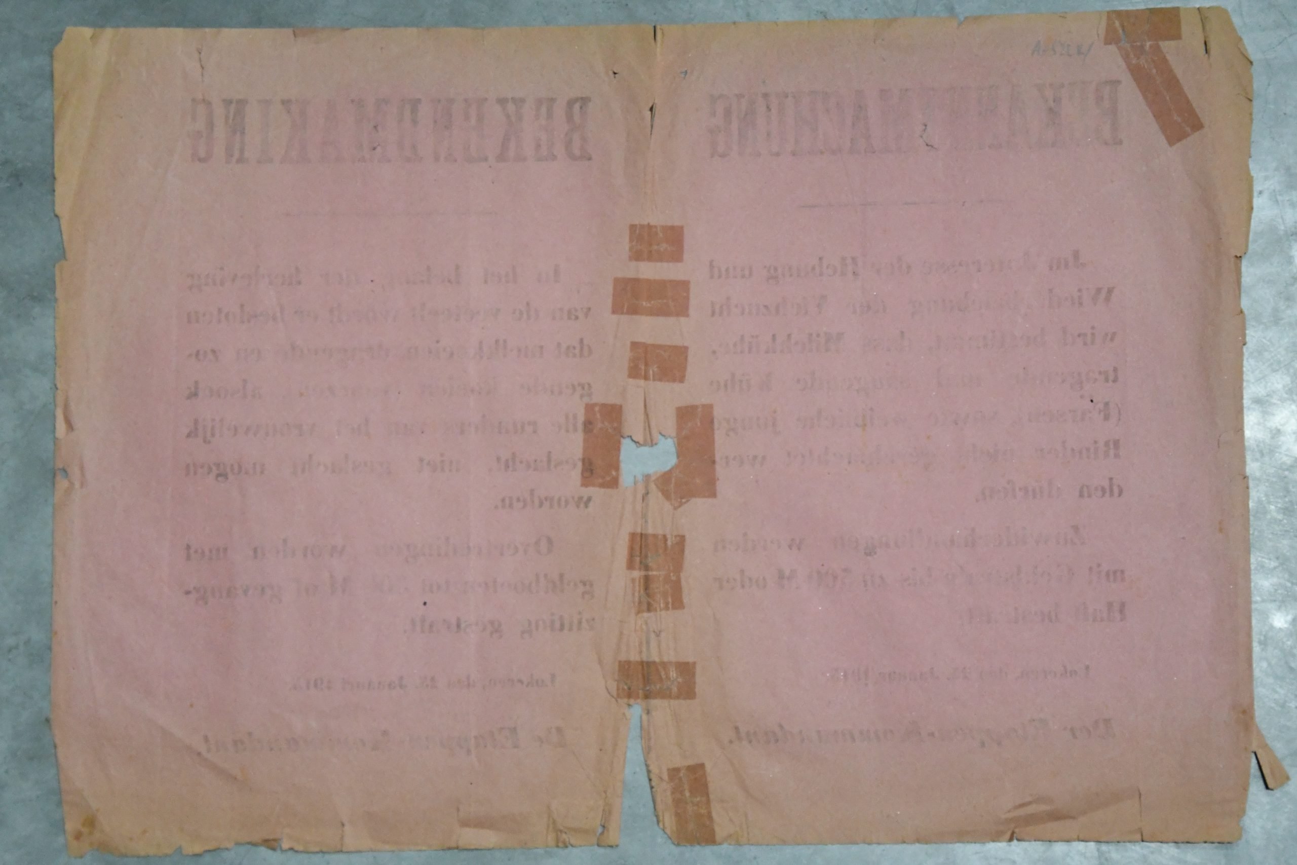 Large Original WWI German Occupation Poster 'Bekanntmachung / Bekendmaking' – Protection of Dairy Cattle – Lokeren – 25 January 1915 – approx. 42 × 61 cm — image 2