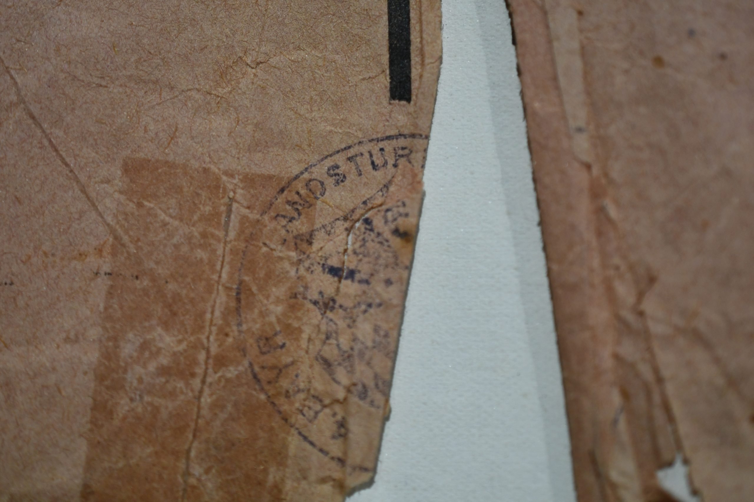 Large Original WWI German Occupation Poster 'Bekanntmachung / Bekendmaking' – Protection of Dairy Cattle – Lokeren – 25 January 1915 – approx. 42 × 61 cm — image 6