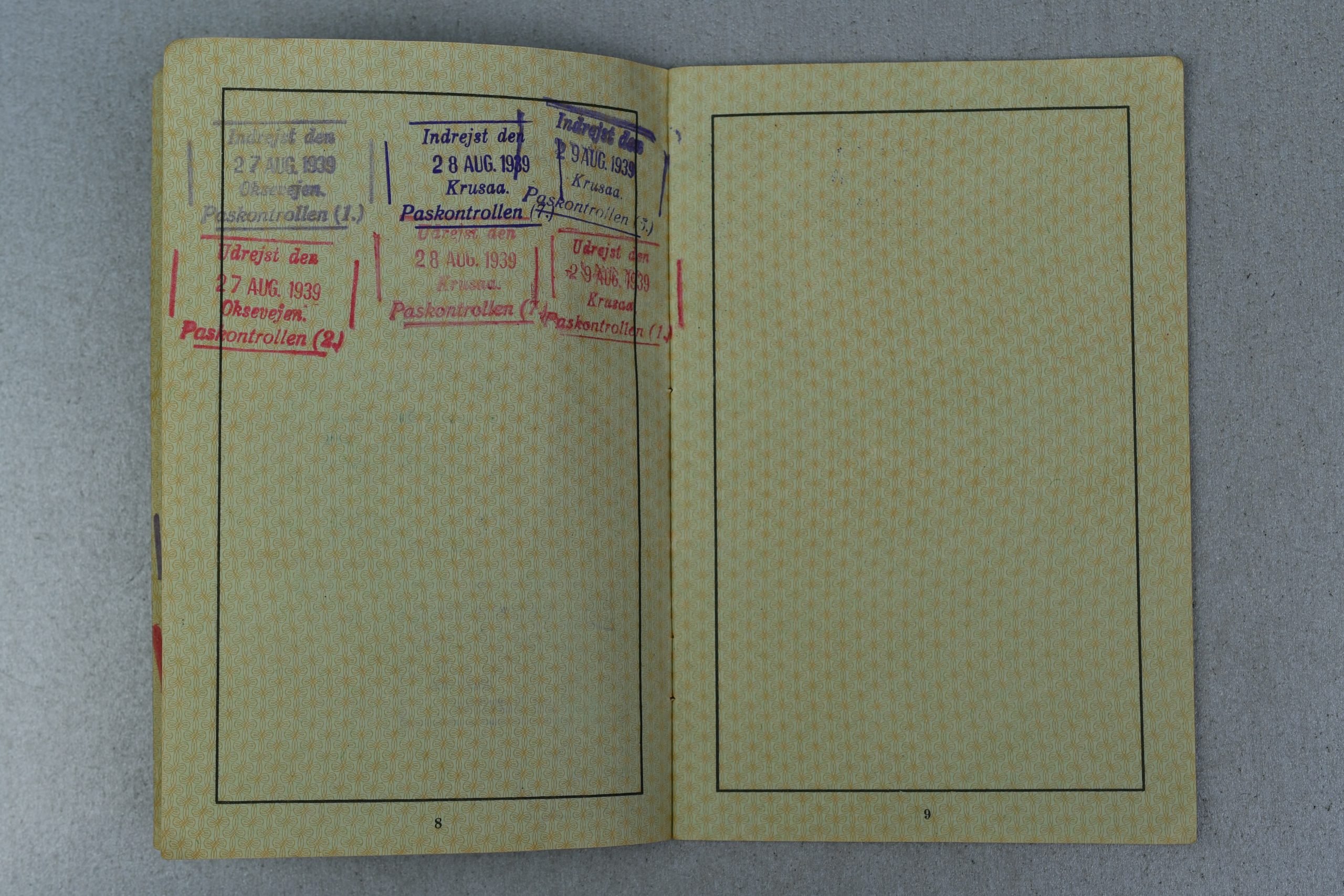 Deutsches Reich Reisepass – Flensburg Issued 1939 – Multiple Denmark Border Crossings — image 6