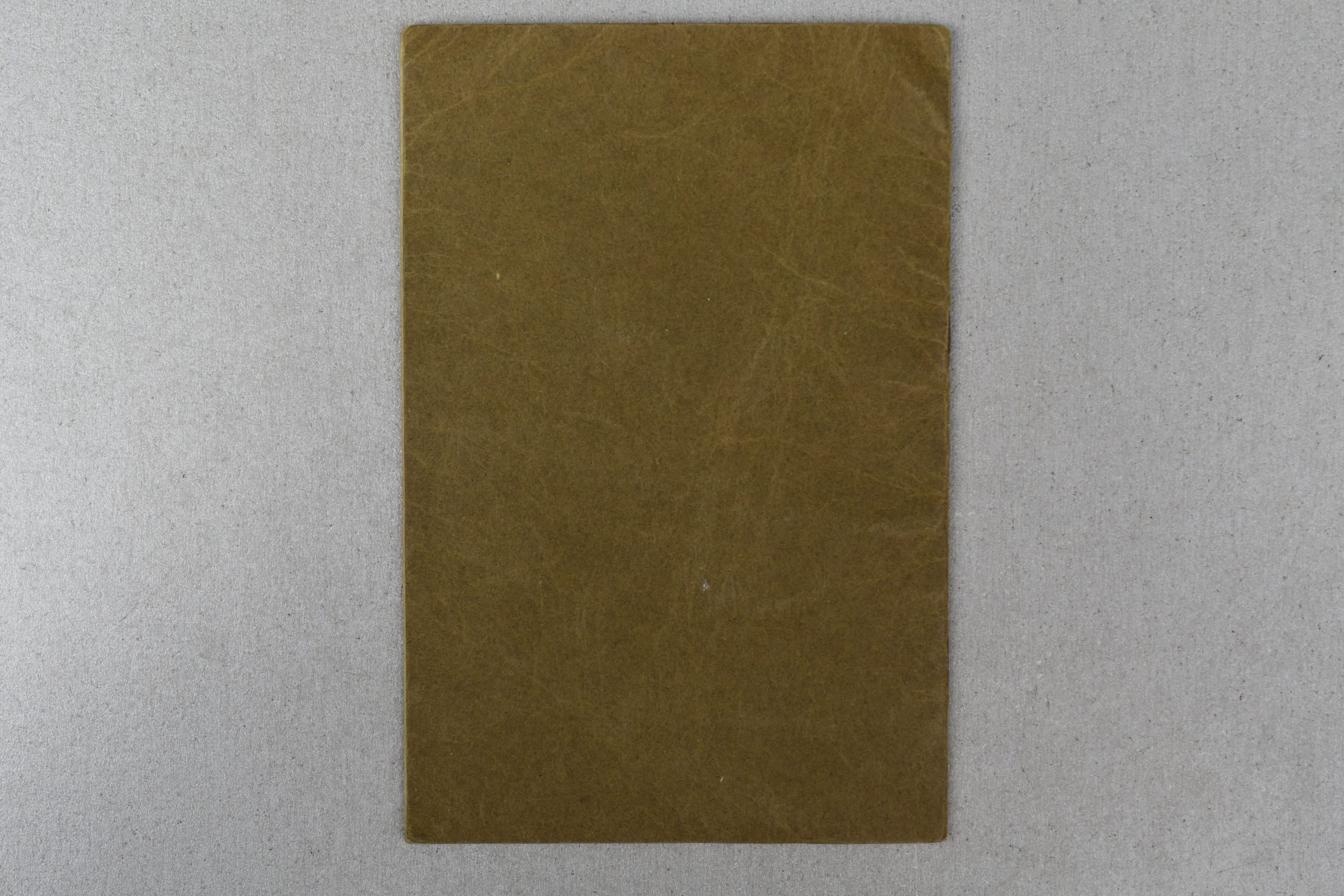 Deutsches Reich Reisepass – Flensburg Issued 1939 – Multiple Denmark Border Crossings — image 7