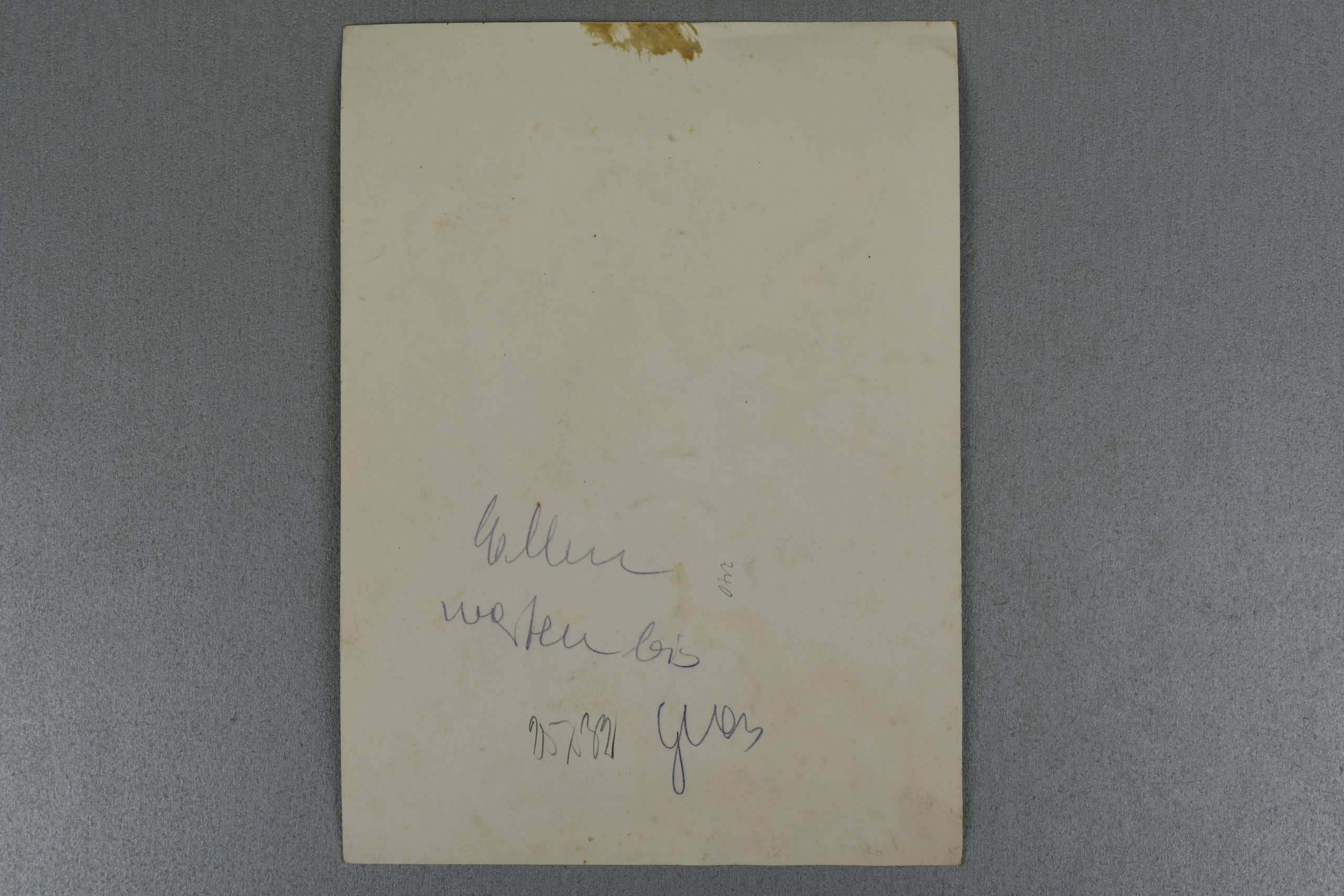 Army (Heer) 'tropical' Photoalbum Italy August 1944 'Bandenkampf' — image 14