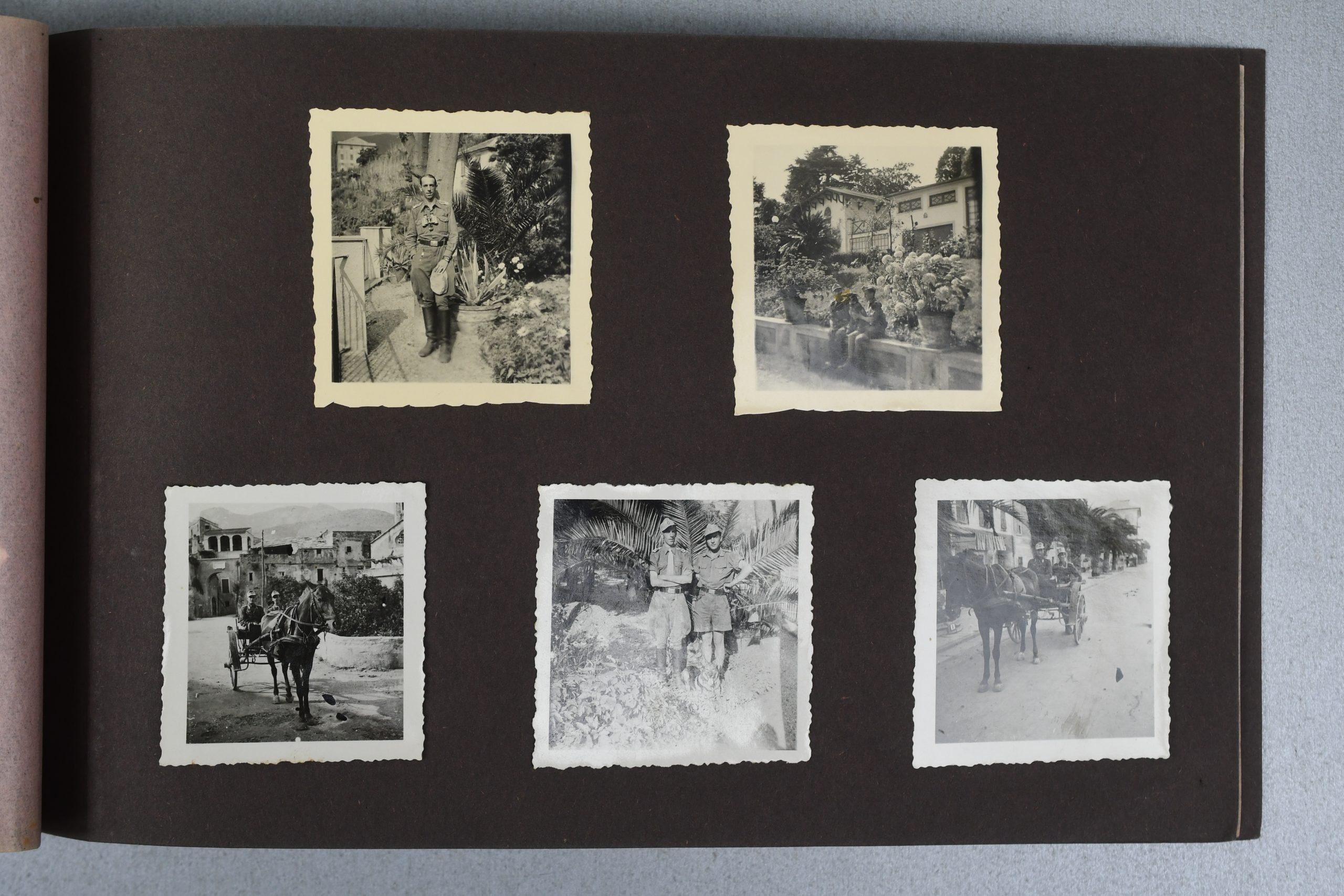 Army (Heer) 'tropical' Photoalbum Italy August 1944 'Bandenkampf' — image 9