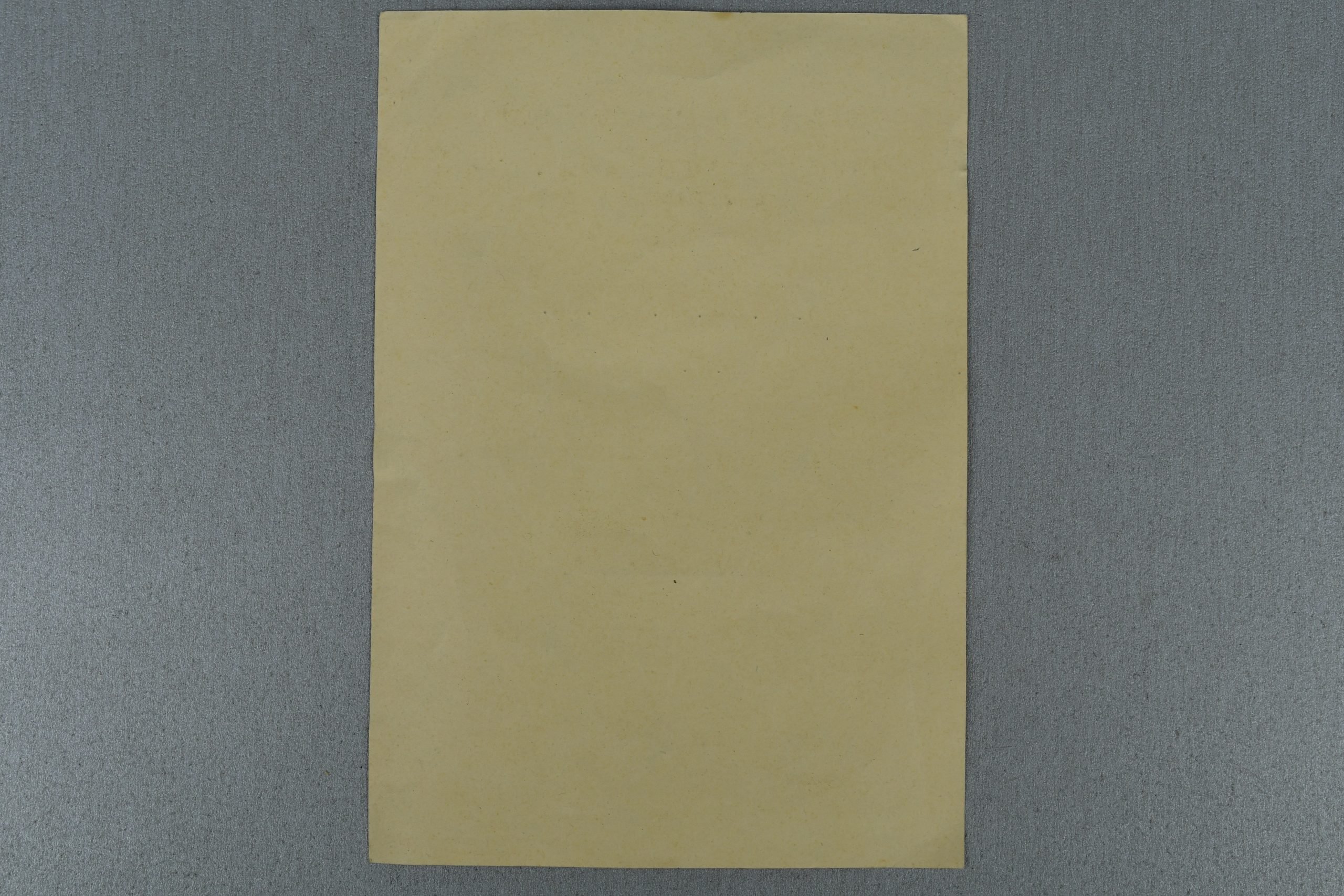 Eastern Front Medal award document Panzer Grenadier Division — image 2