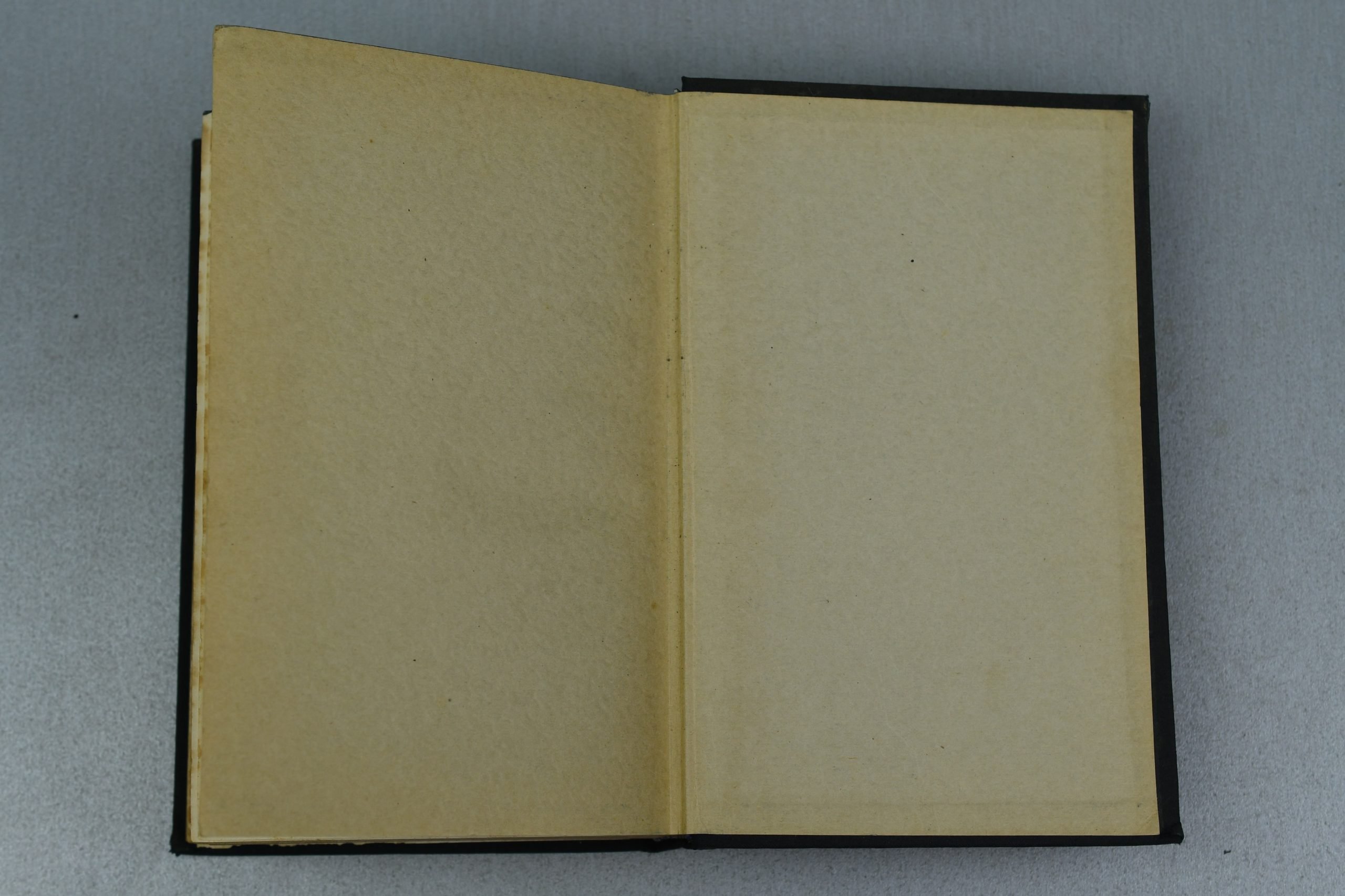 Dutch Adolf Hitler's Mein Kampf 'Mijn Kamp' printed in Amsterdam — image 12