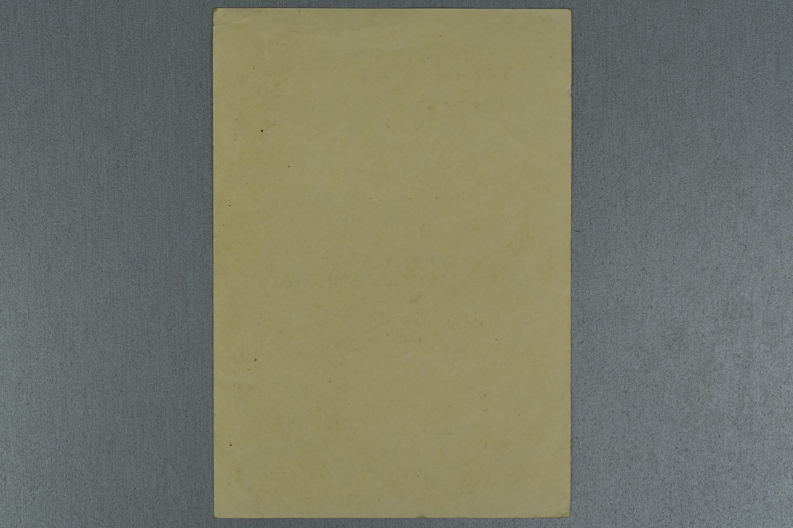 Medal and document grouping Ludwig Bär Panzerjäger-Abteilung 158 — image 31