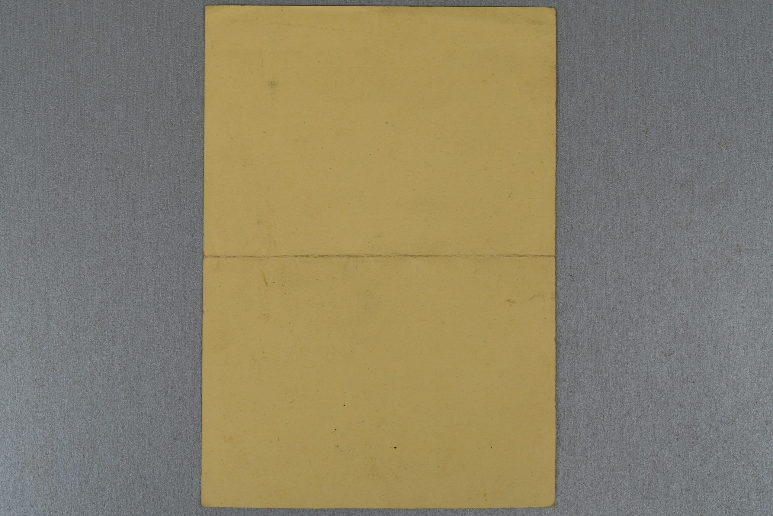 Medal and document grouping Ludwig Bär Panzerjäger-Abteilung 158 — image 8