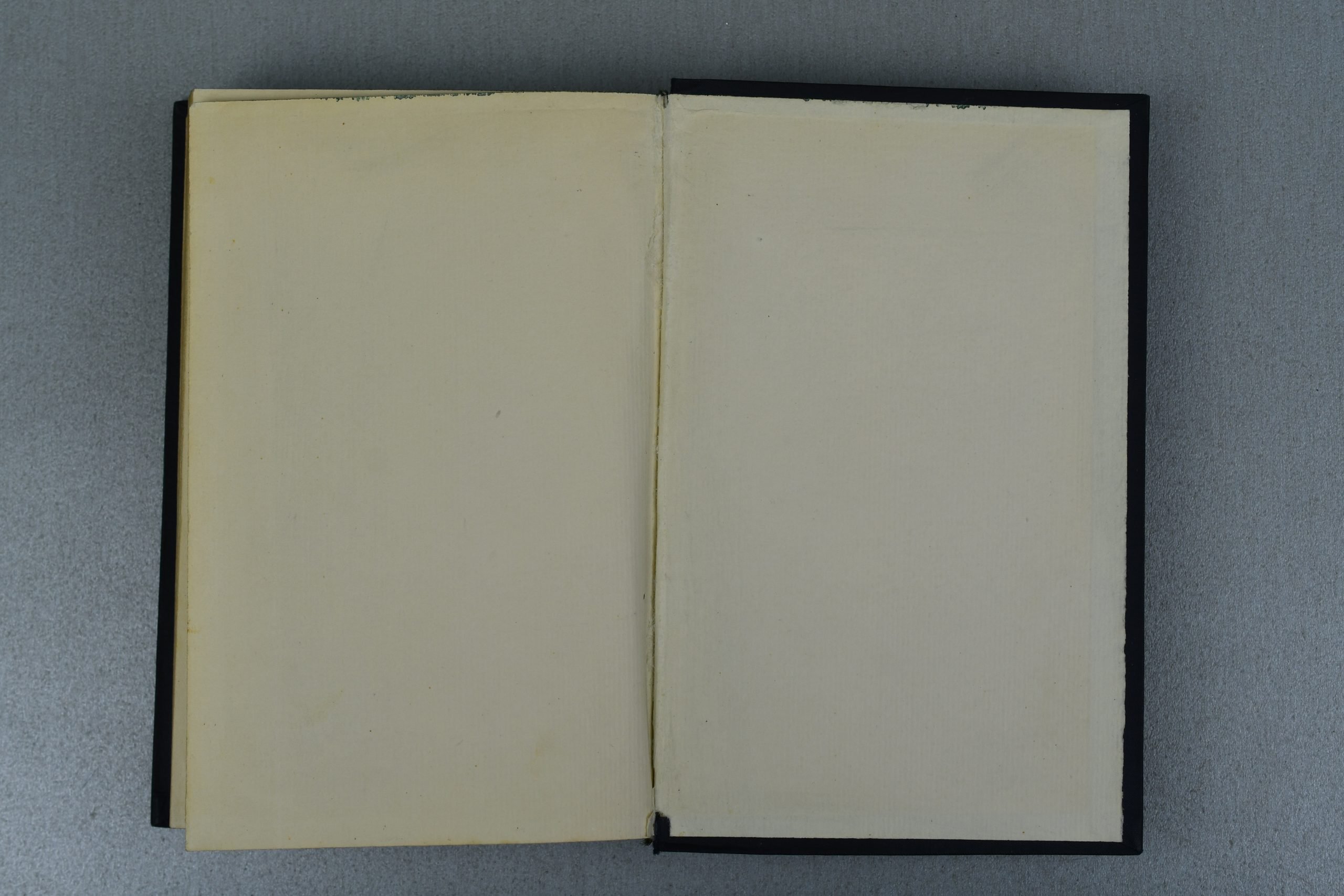 Early Adolf Hitler's Mein Kampf book 1930 — image 12