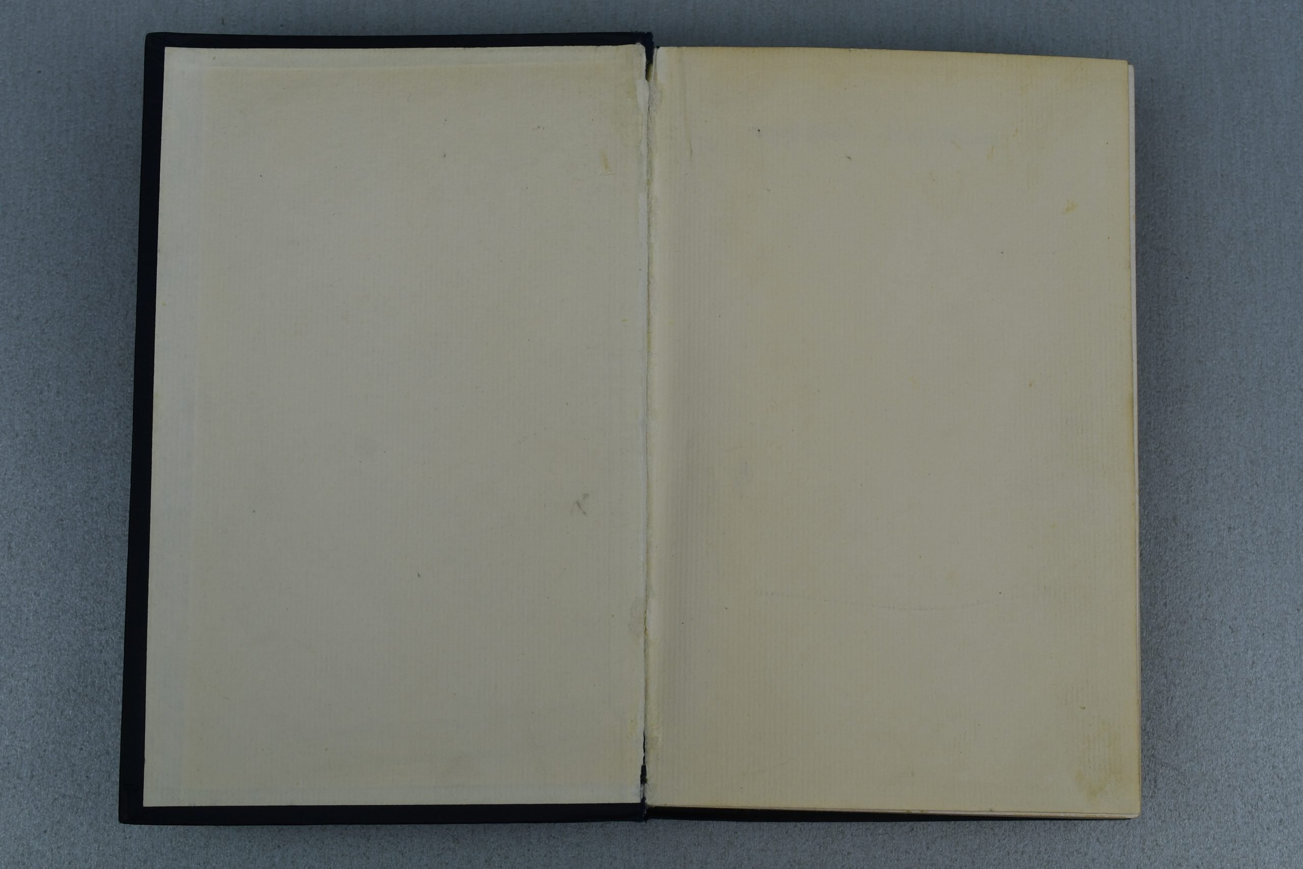 Early Adolf Hitler's Mein Kampf book 1930 — image 3