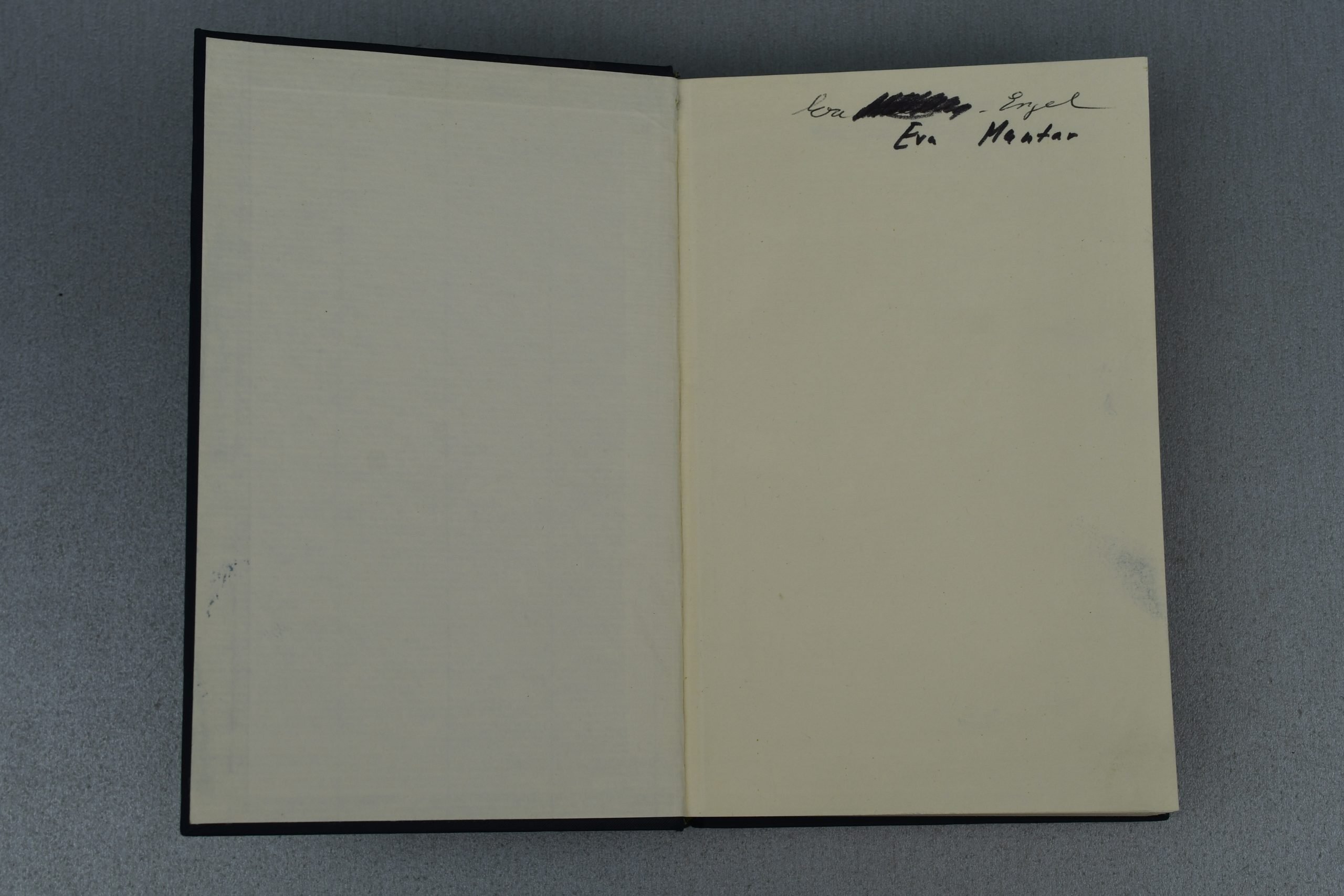 Early Adolf Hitler's Mein Kampf book 1937 — image 8