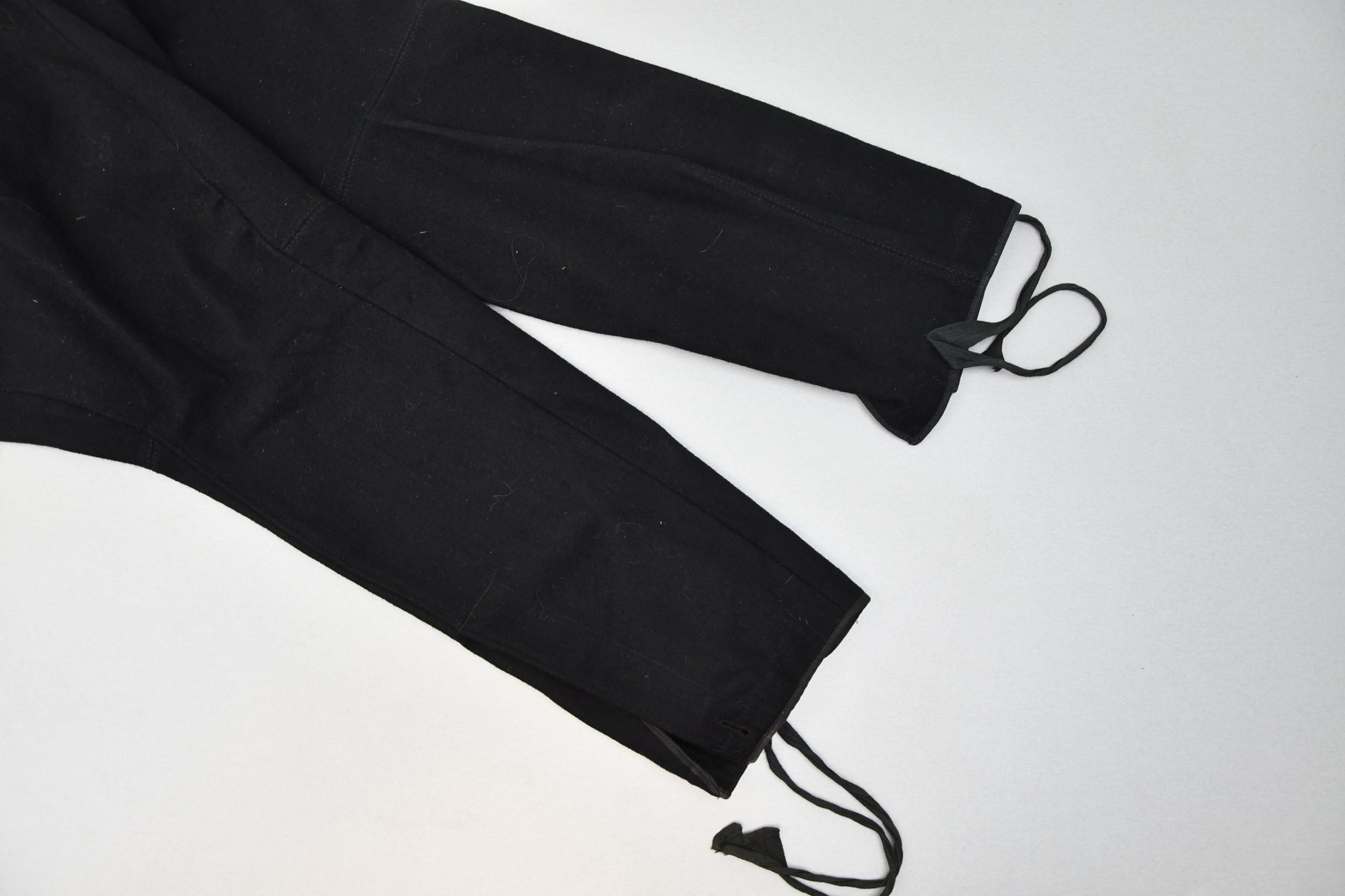 Allgemeine SS breeches — image 4