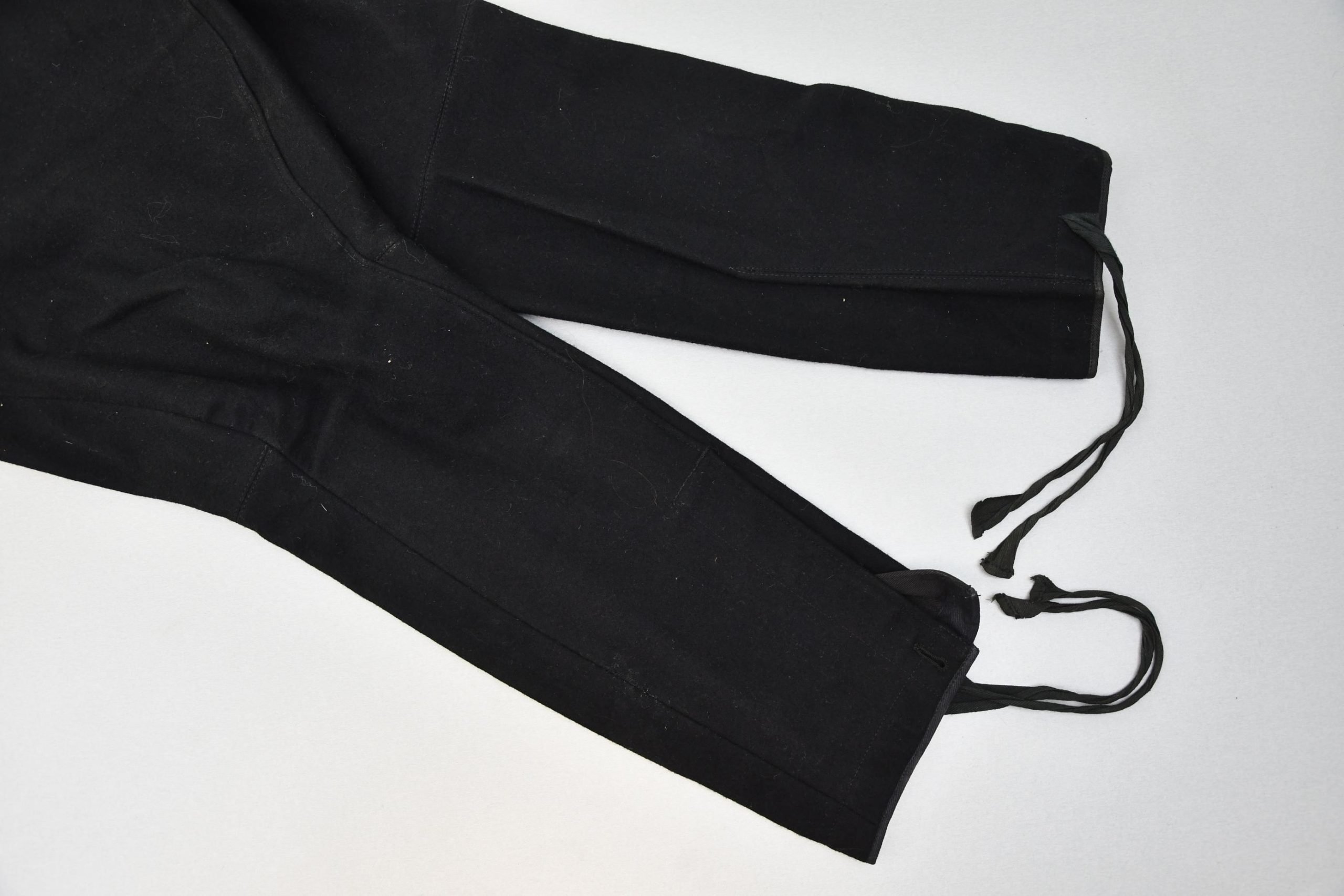 Allgemeine SS breeches — image 5
