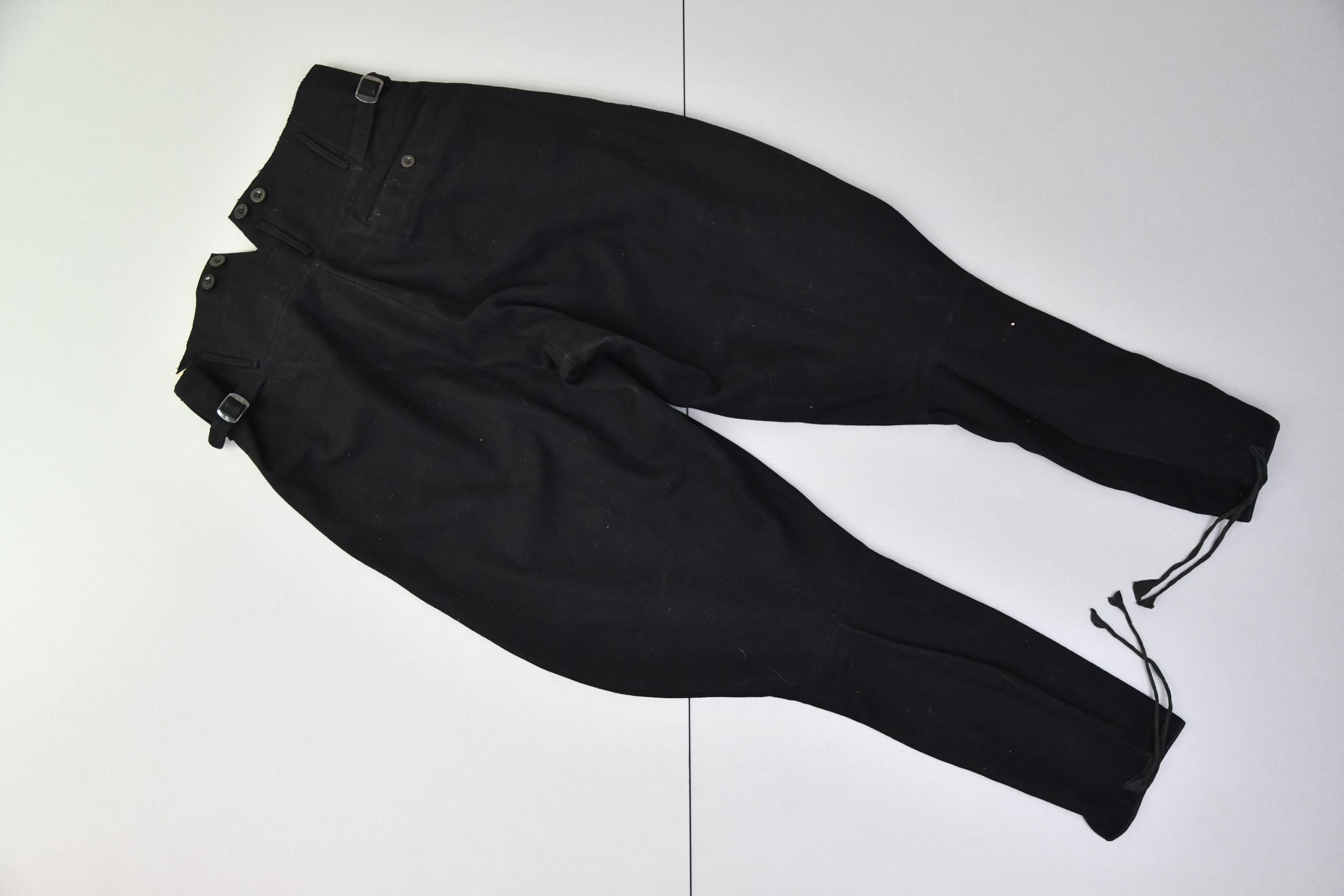 Allgemeine SS breeches — image 6