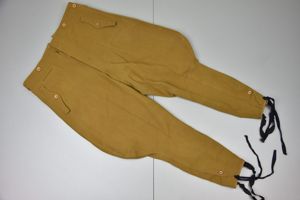 NSDAP leader service breeches 'RZM Diensthose'
