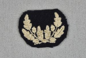 RARE Flemish collaboration Flemish Guard cap insignia