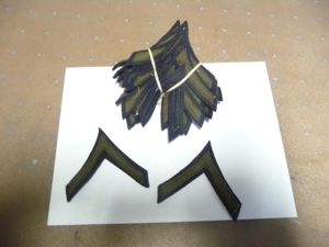 USA WW2 RANK CHEVRONS - PRIVATE FIRST CLASS- 10 pairs