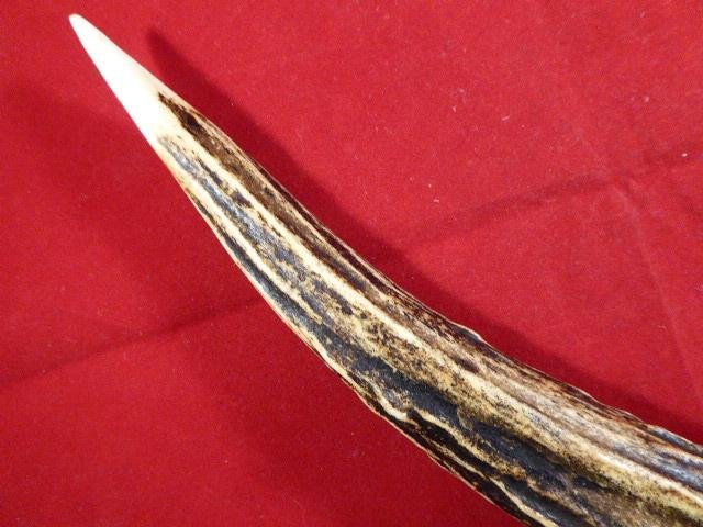 Beautiful Large Vintage Real Stag Horn Cigar Cutter – by M.& W.Co. Ltd circa 1950 — image 9