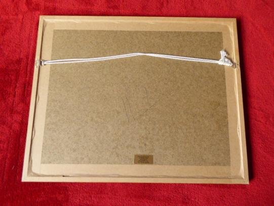 Framed Coloured Print of the Battle of Tofrek Sudan on 22nd March 1885 by 49th Regiment — image 6