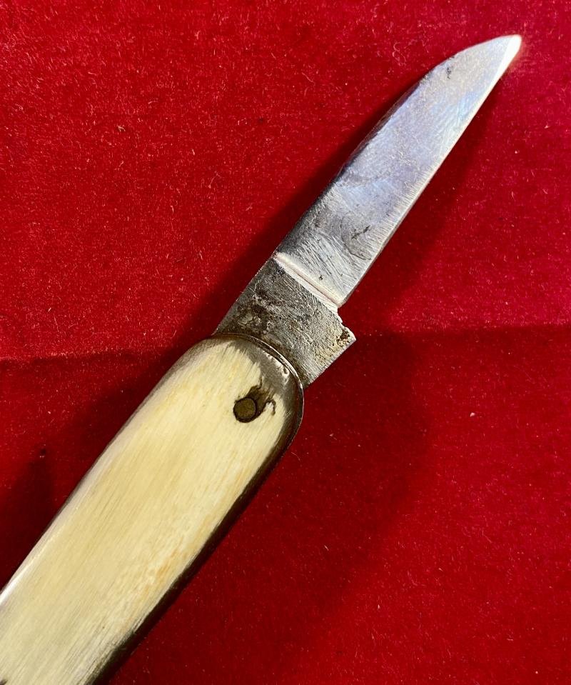 Antique Double-Bladed Penknife with Smooth Horn Grip Scales made in Sheffield c1880 — image 3