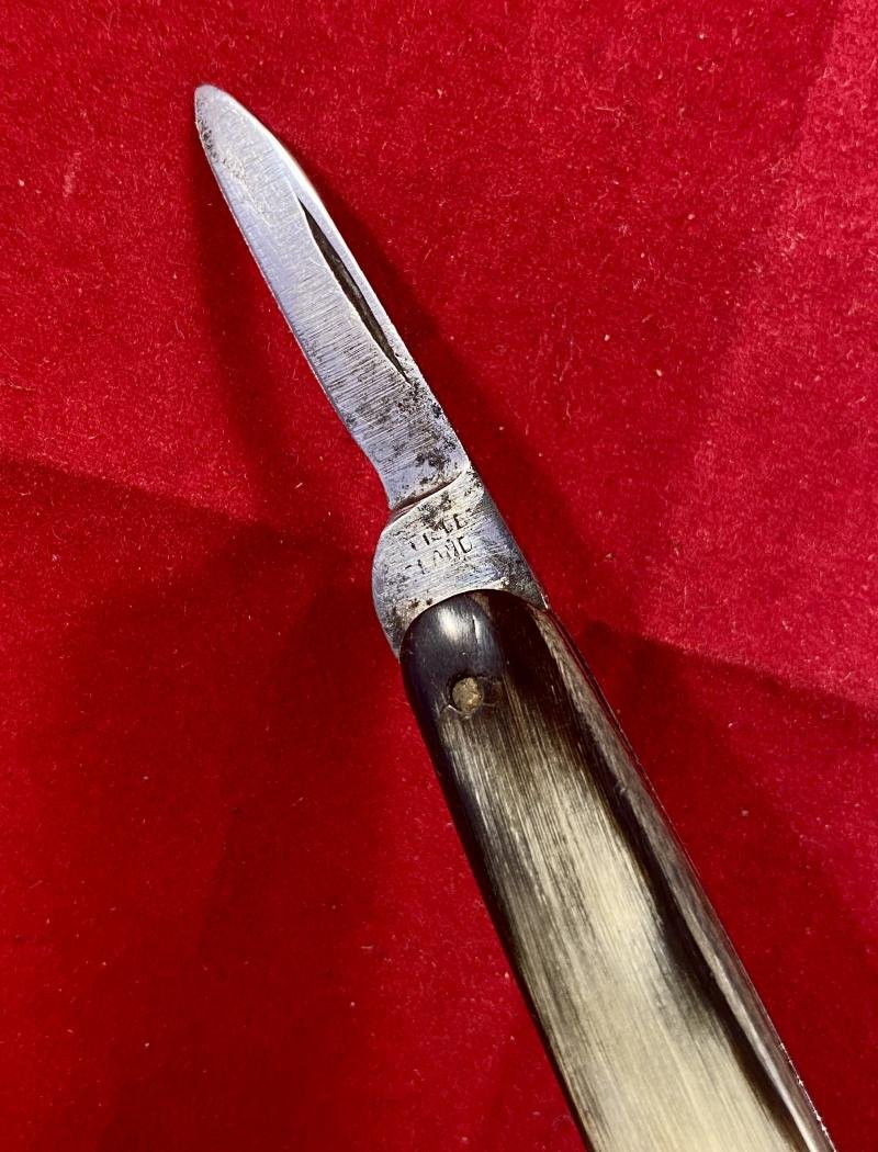 Antique Double-Bladed Penknife with Smooth Horn Grip Scales made in Sheffield c1880 — image 5