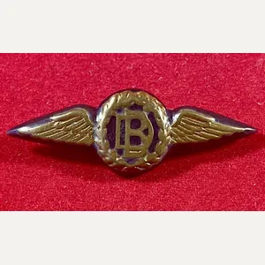 Unusual WW2 Royal Air Force Dental Branch Sweetheart Brooch