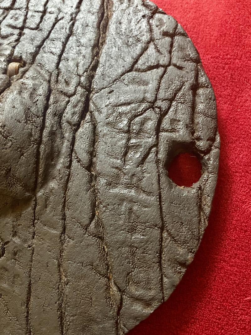 Rare 19th Century Elephant Hide Warrior Shield from the Hadendoa people of the Beja Tribe from Sudan/Eritrea — image 6