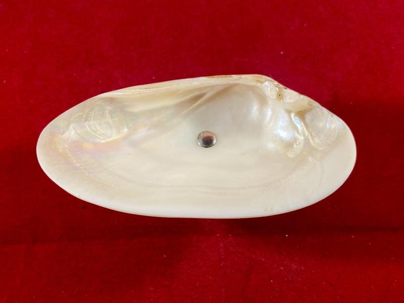 Beautiful Antique Mother of Pearl and Hallmarked Silver Pedestal Dish by William Vale & Sons 1922 — image 4