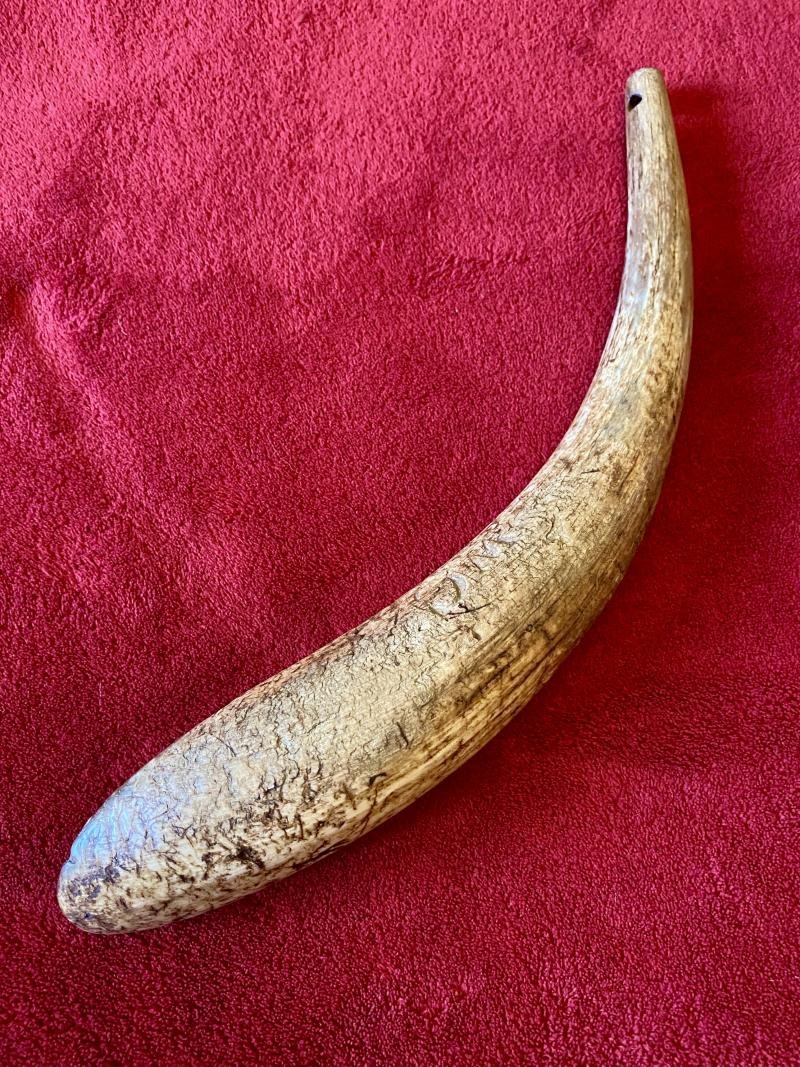 Antique Drenching Horn Farm Implement Engraved with WC — image 3