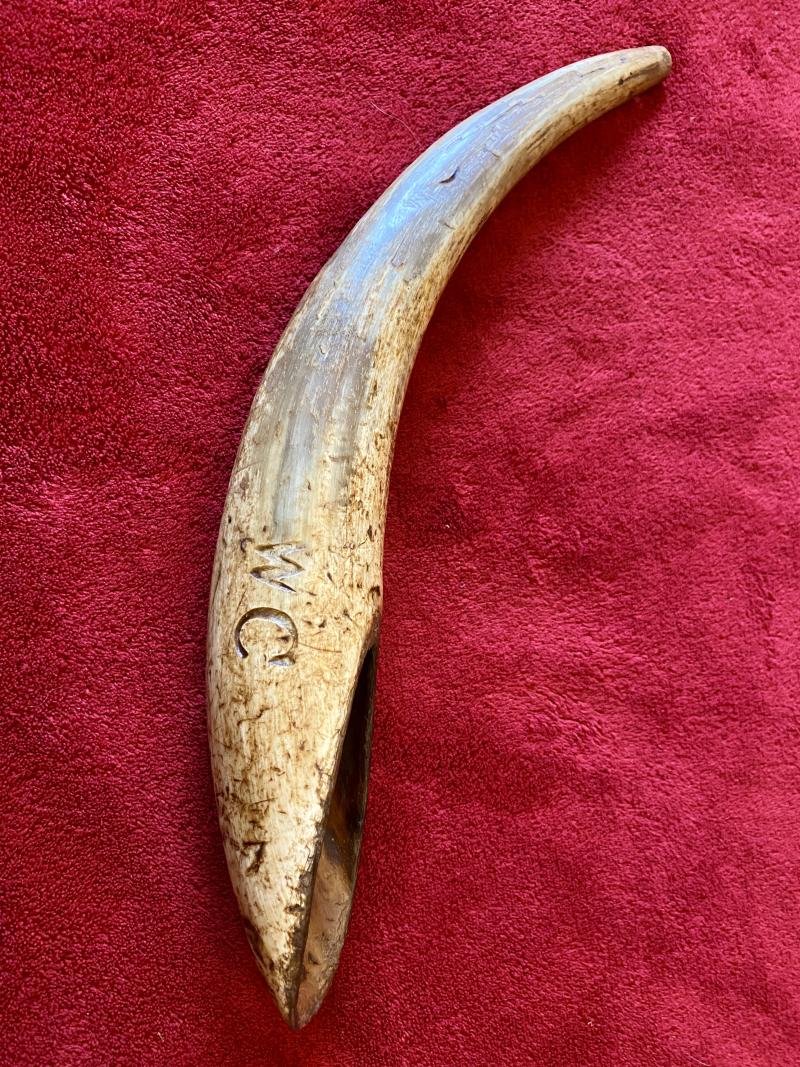 Antique Drenching Horn Farm Implement Engraved with WC — image 7